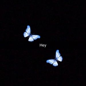 Meet your Posher, Alora